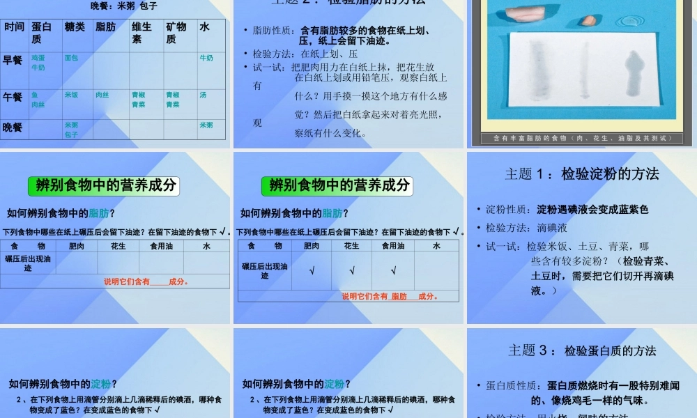 秋四年级科学上册 2.2《食物中的营养》课件3 大象版-大象版小学四年级上册自然科学课件