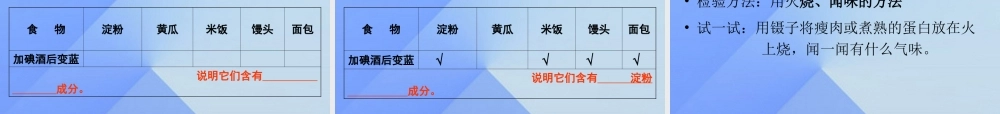 秋四年级科学上册 2.2《食物中的营养》课件3 大象版-大象版小学四年级上册自然科学课件