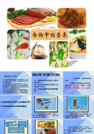 秋四年级科学上册 2.2《食物中的营养》课件3 大象版-大象版小学四年级上册自然科学课件