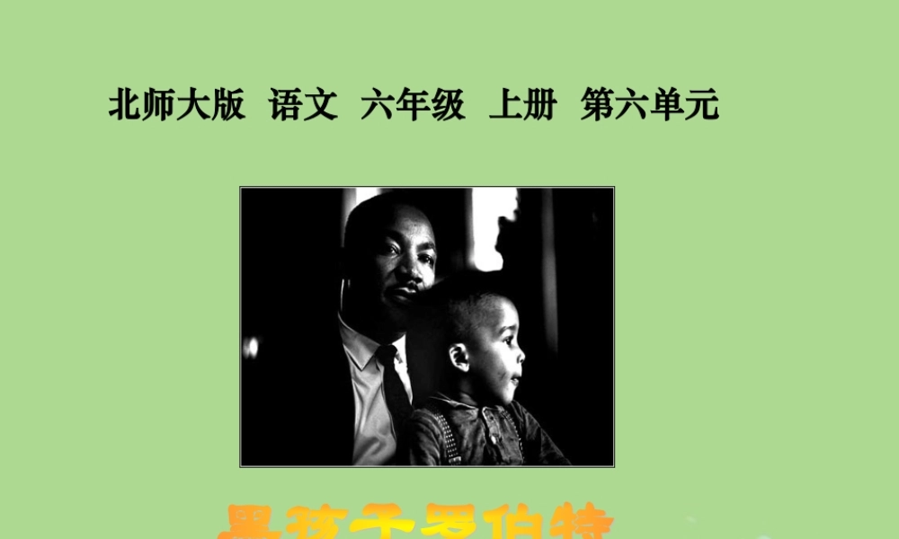 秋六年级语文上册 第七单元 地球家庭 32 黑孩子罗伯特教学课件 北师大版-北师大版小学六年级上册语文课件