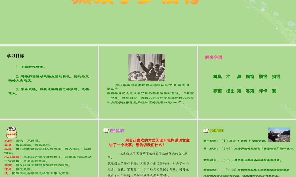 秋六年级语文上册 第七单元 地球家庭 32 黑孩子罗伯特教学课件 北师大版-北师大版小学六年级上册语文课件