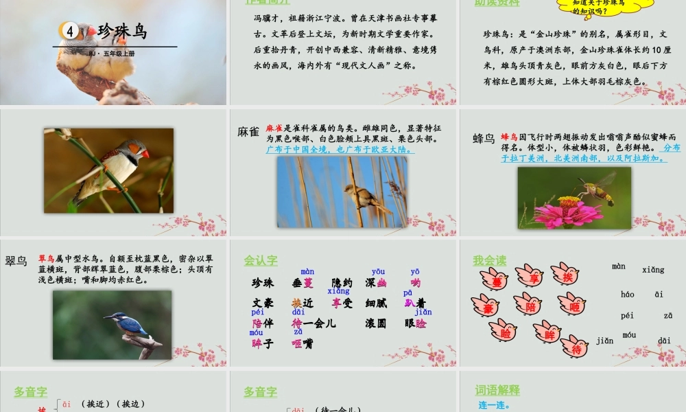 秋五年级语文上册 第一单元 第4课 珍珠鸟教学课件 新人教版-新人教版小学五年级上册语文课件