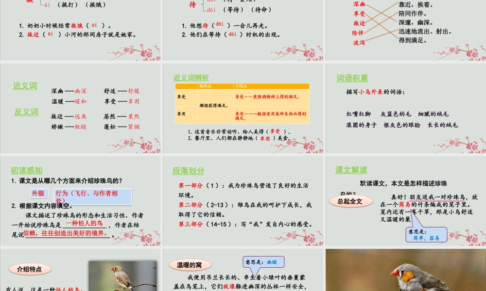秋五年级语文上册 第一单元 第4课 珍珠鸟教学课件 新人教版-新人教版小学五年级上册语文课件
