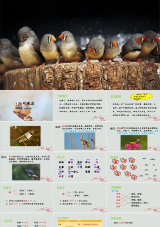 秋五年级语文上册 第一单元 第4课 珍珠鸟教学课件 新人教版-新人教版小学五年级上册语文课件