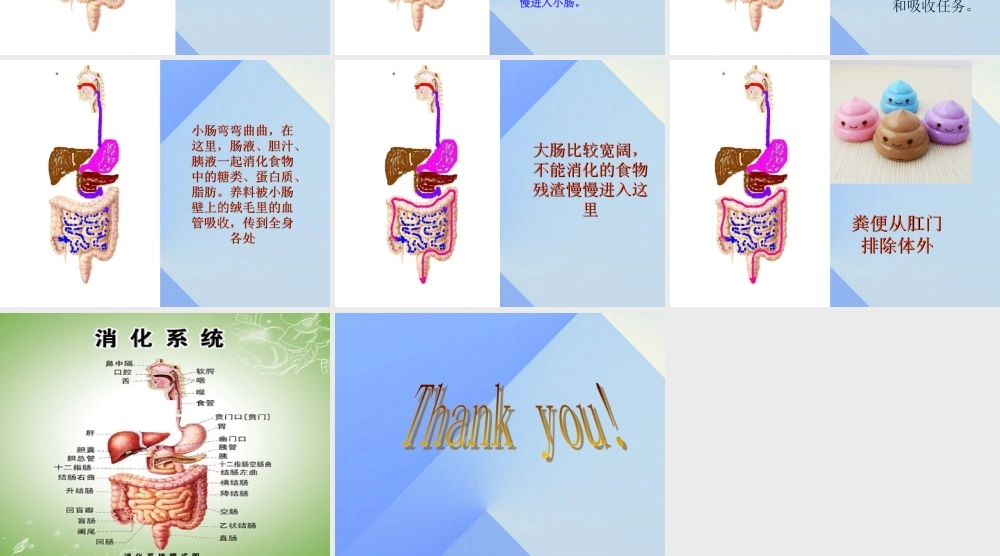 秋四年级科学上册 2.3《一次奇妙的旅行》课件1 大象版-大象版小学四年级上册自然科学课件