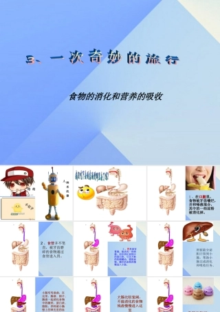 秋四年级科学上册 2.3《一次奇妙的旅行》课件1 大象版-大象版小学四年级上册自然科学课件