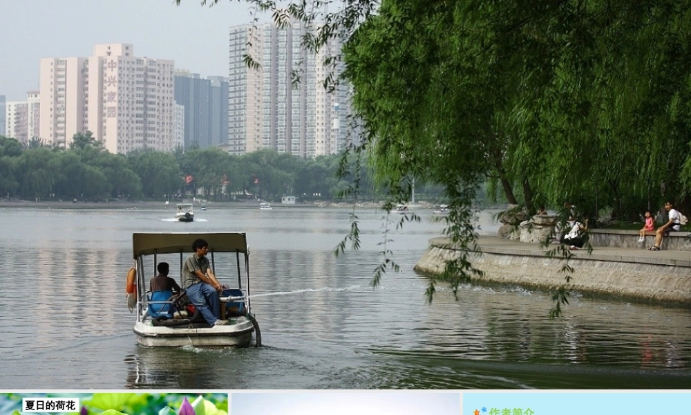 秋六年级语文上册 第五单元 15 夏天里的成长教学课件 新人教版-新人教版小学六年级上册语文课件