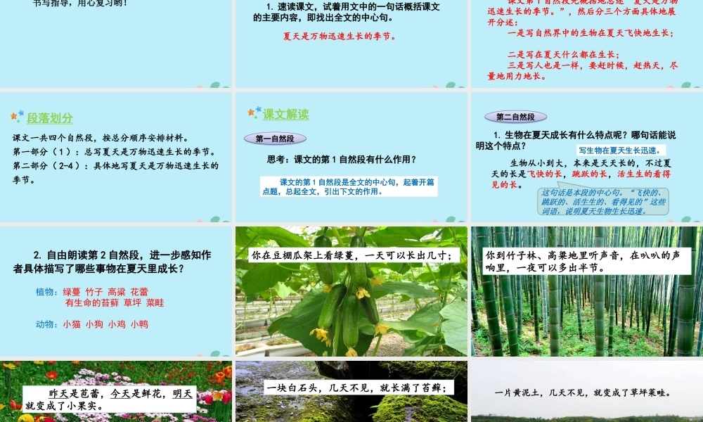 秋六年级语文上册 第五单元 15 夏天里的成长教学课件 新人教版-新人教版小学六年级上册语文课件