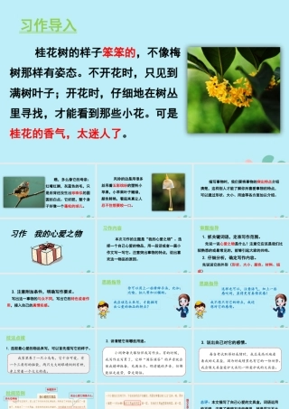 秋五年级语文上册 第一单元 习作 我的心爱之物教学课件 新人教版-新人教版小学五年级上册语文课件