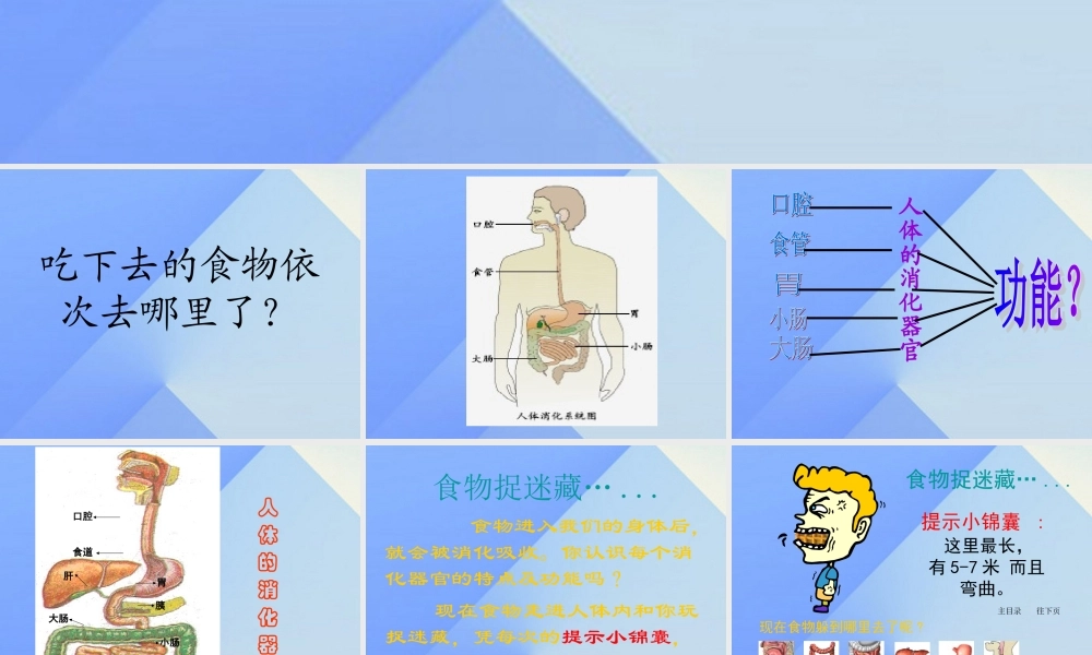 秋四年级科学上册 2.3《一次奇妙的旅行》课件2 大象版-大象版小学四年级上册自然科学课件