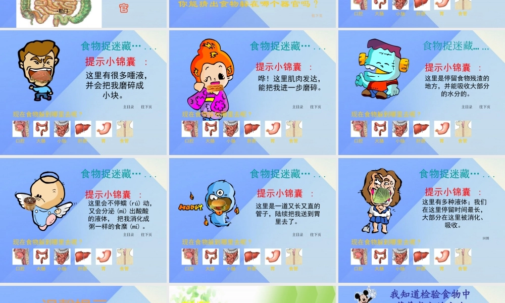 秋四年级科学上册 2.3《一次奇妙的旅行》课件2 大象版-大象版小学四年级上册自然科学课件