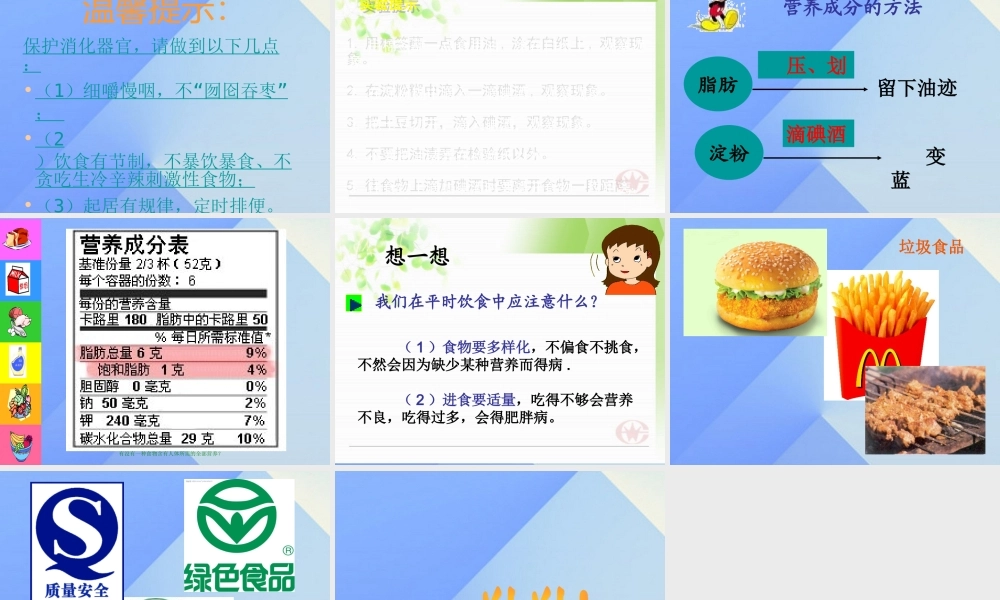 秋四年级科学上册 2.3《一次奇妙的旅行》课件2 大象版-大象版小学四年级上册自然科学课件