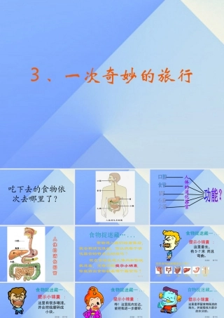 秋四年级科学上册 2.3《一次奇妙的旅行》课件2 大象版-大象版小学四年级上册自然科学课件