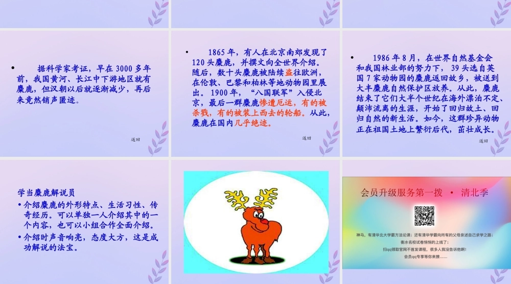 秋六年级语文上册 第五单元 17 麋鹿教学课件 苏教版-苏教版小学六年级上册语文课件