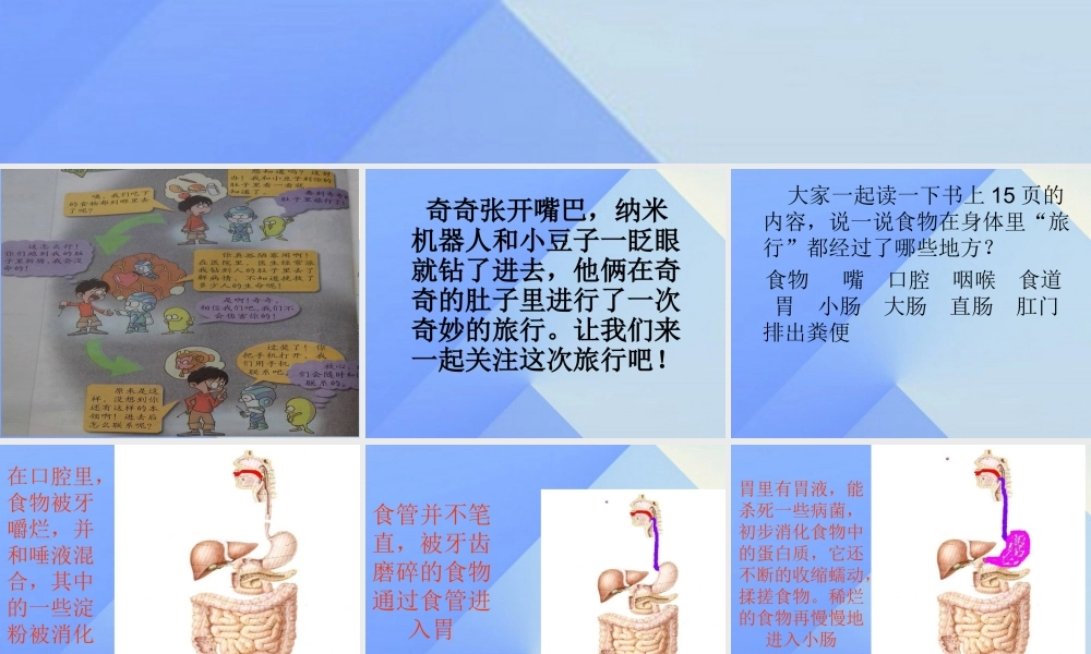 秋四年级科学上册 2.3《一次奇妙的旅行》课件3 大象版-大象版小学四年级上册自然科学课件