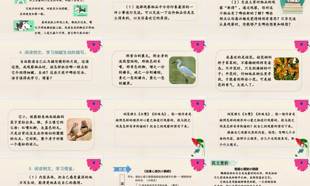 秋五年级语文上册 第一单元 习作一 我的心爱之物上课课件 新人教版-新人教版小学五年级上册语文课件