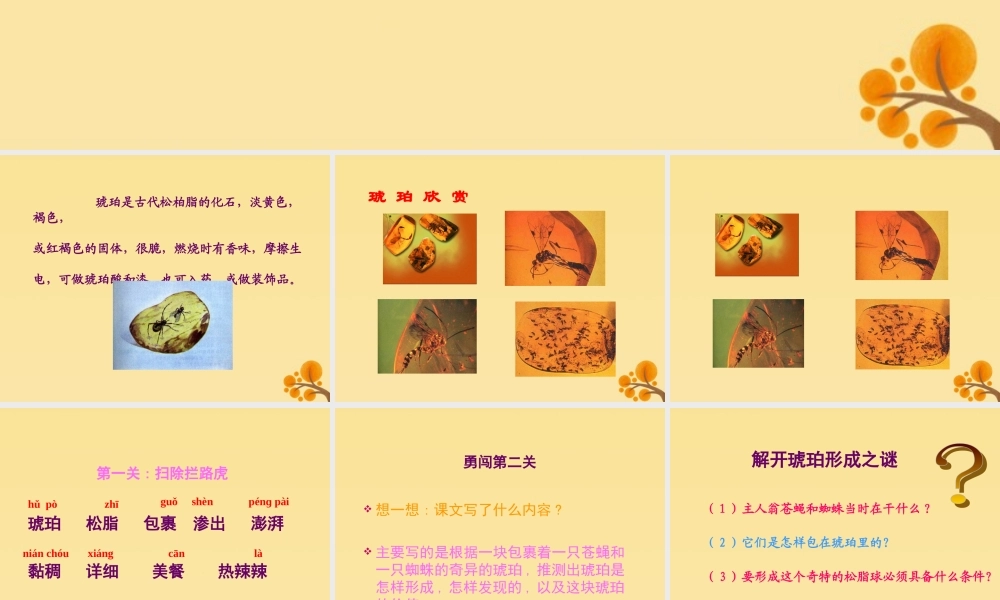 秋六年级语文上册 第五单元 21 奇异的琥珀教学课件 语文S版-语文S版小学六年级上册语文课件