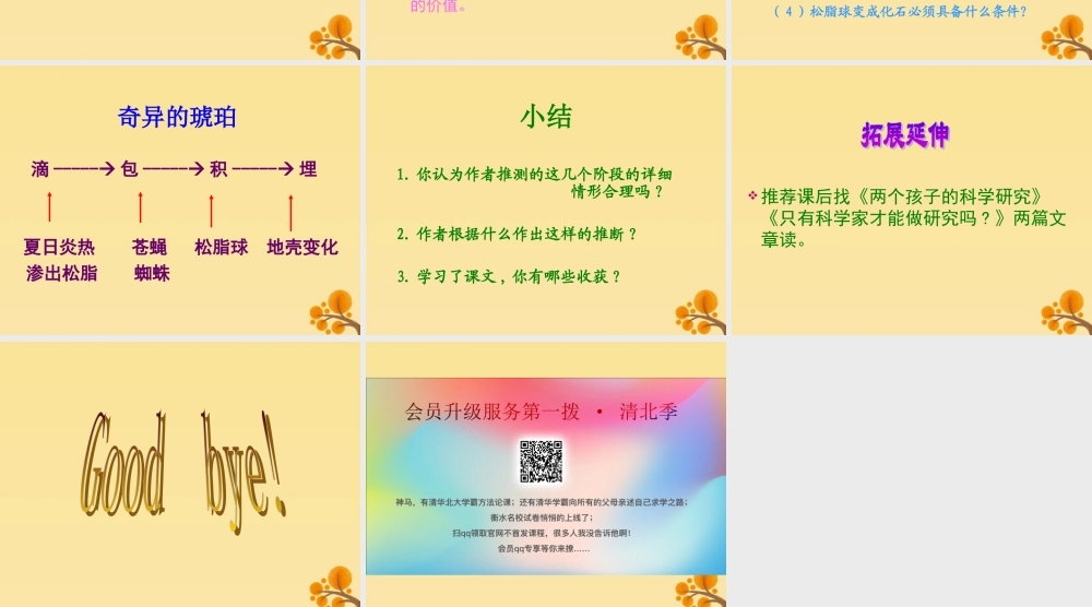 秋六年级语文上册 第五单元 21 奇异的琥珀教学课件 语文S版-语文S版小学六年级上册语文课件