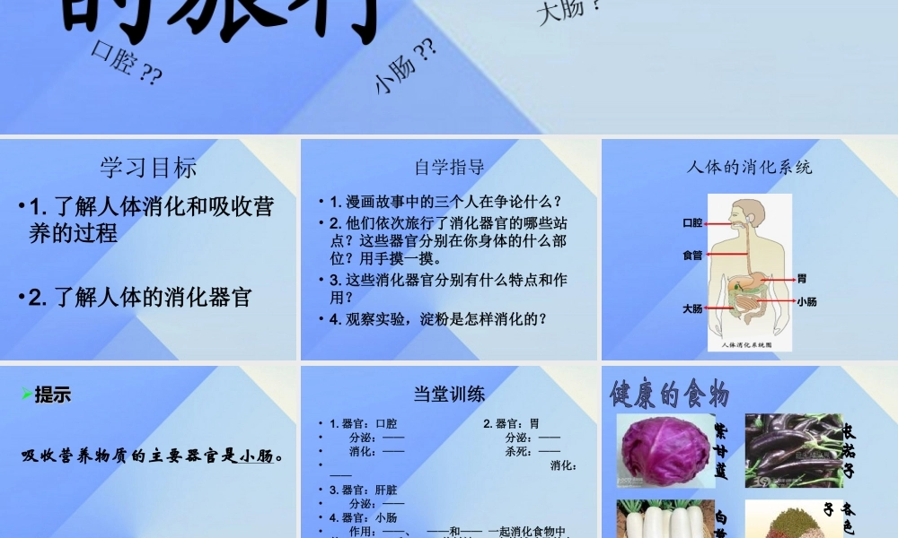 秋四年级科学上册 2.3《一次奇妙的旅行》课件4 大象版-大象版小学四年级上册自然科学课件