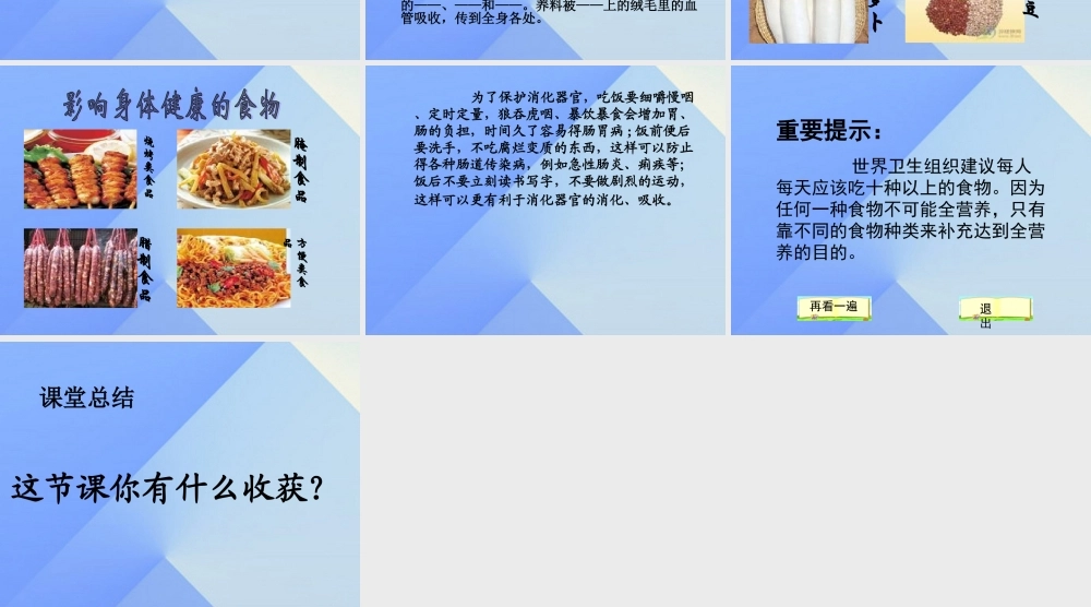 秋四年级科学上册 2.3《一次奇妙的旅行》课件4 大象版-大象版小学四年级上册自然科学课件