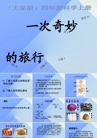 秋四年级科学上册 2.3《一次奇妙的旅行》课件4 大象版-大象版小学四年级上册自然科学课件