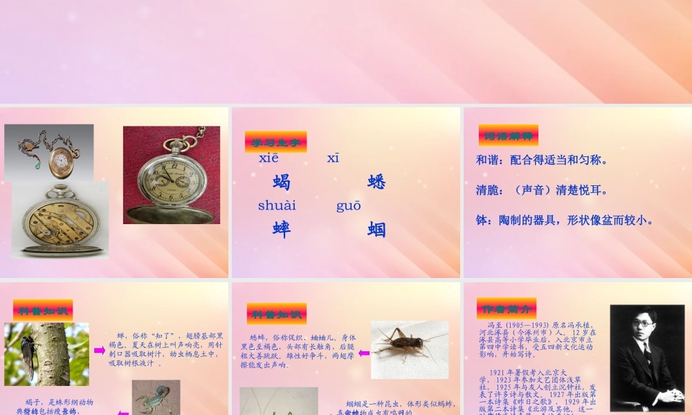 秋六年级语文上册 第五单元 22 表里的生物教学课件 语文S版-语文S版小学六年级上册语文课件