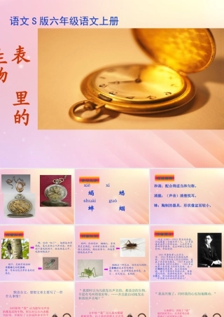 秋六年级语文上册 第五单元 22 表里的生物教学课件 语文S版-语文S版小学六年级上册语文课件