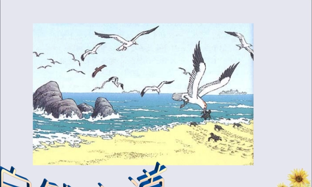 秋六年级语文上册 第五单元 23 自然之道教学课件 语文S版-语文S版小学六年级上册语文课件