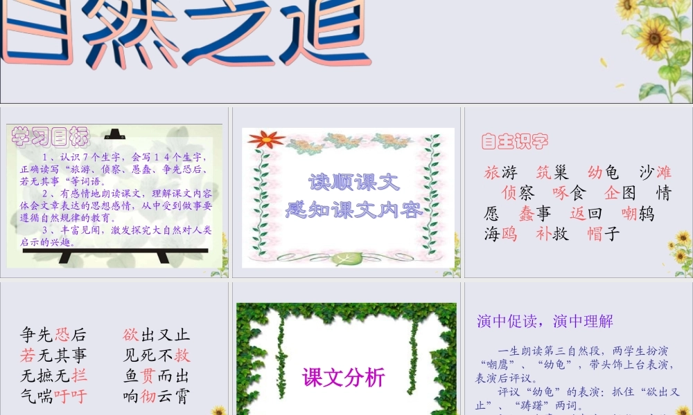 秋六年级语文上册 第五单元 23 自然之道教学课件 语文S版-语文S版小学六年级上册语文课件