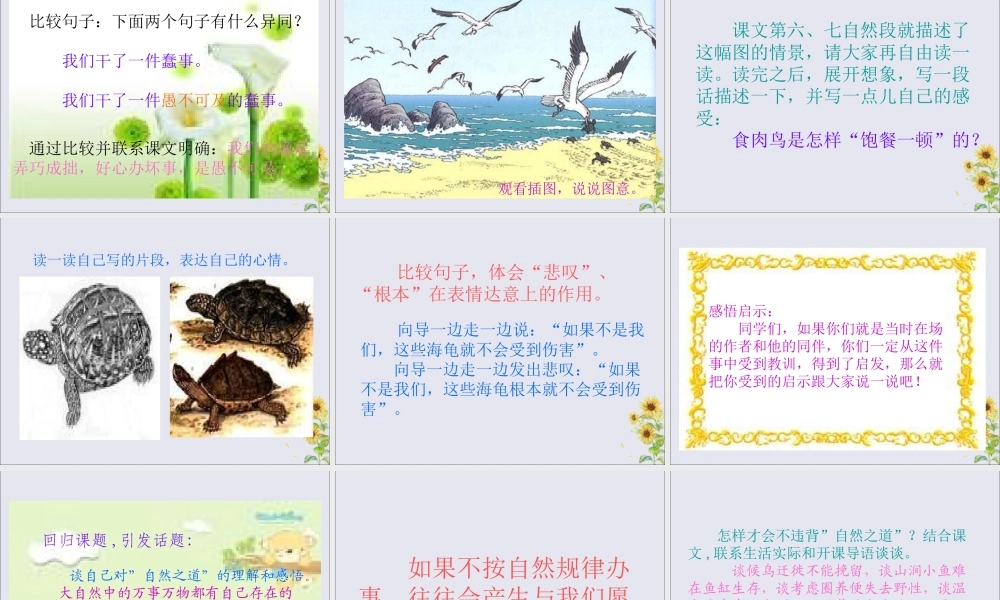 秋六年级语文上册 第五单元 23 自然之道教学课件 语文S版-语文S版小学六年级上册语文课件