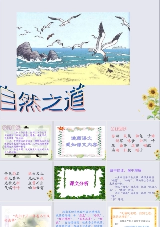 秋六年级语文上册 第五单元 23 自然之道教学课件 语文S版-语文S版小学六年级上册语文课件