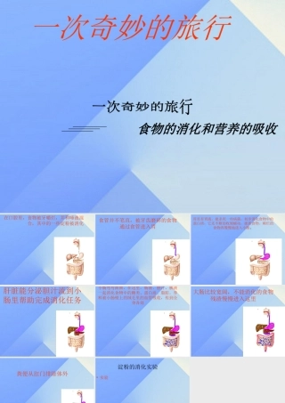 秋四年级科学上册 2.3《一次奇妙的旅行》课件5 大象版-大象版小学四年级上册自然科学课件