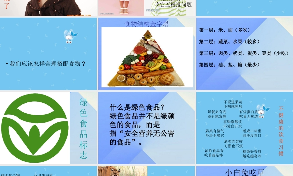 秋四年级科学上册 2.4《祝你胃口好》课件 大象版-大象版小学四年级上册自然科学课件