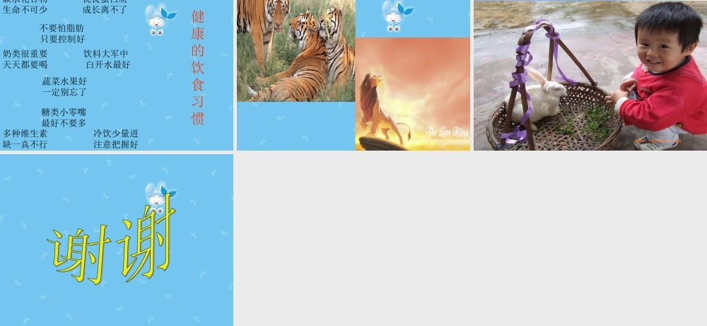 秋四年级科学上册 2.4《祝你胃口好》课件 大象版-大象版小学四年级上册自然科学课件