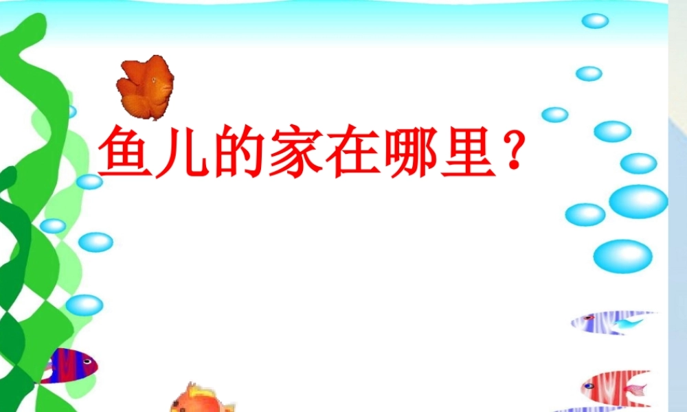 秋四年级科学上册 3.1《鱼儿的家》课件1 大象版-大象版小学四年级上册自然科学课件