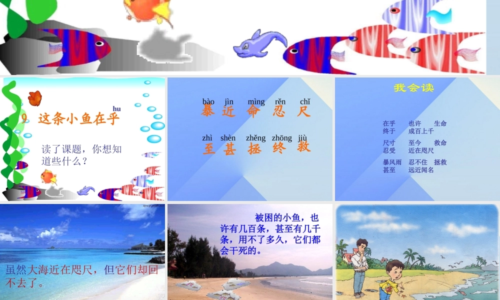 秋四年级科学上册 3.1《鱼儿的家》课件1 大象版-大象版小学四年级上册自然科学课件