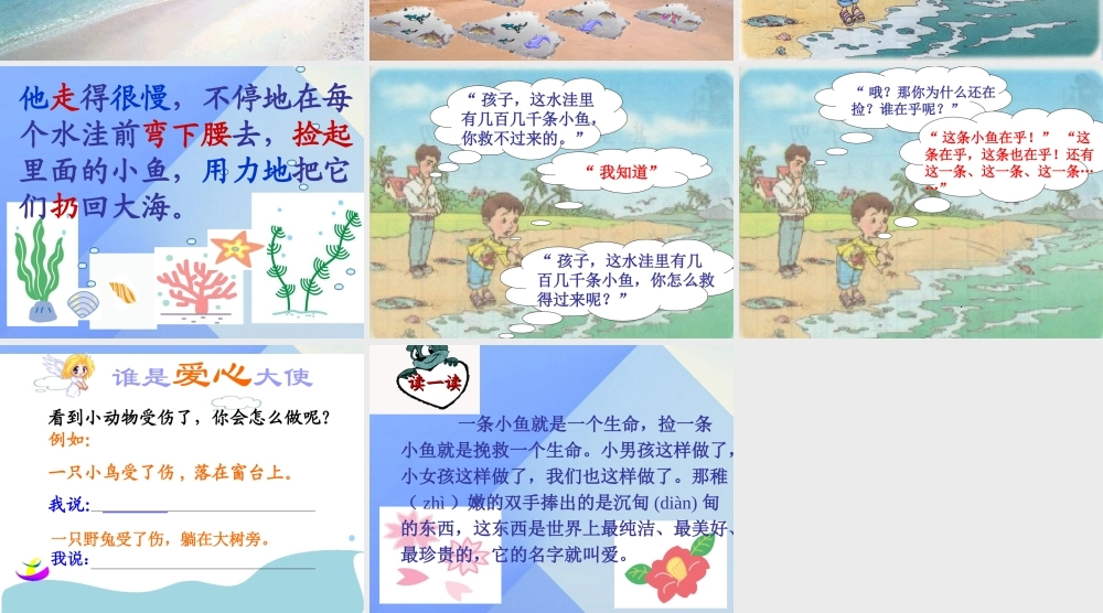 秋四年级科学上册 3.1《鱼儿的家》课件1 大象版-大象版小学四年级上册自然科学课件