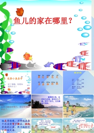 秋四年级科学上册 3.1《鱼儿的家》课件1 大象版-大象版小学四年级上册自然科学课件