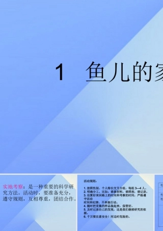 秋四年级科学上册 3.1《鱼儿的家》课件2 大象版-大象版小学四年级上册自然科学课件