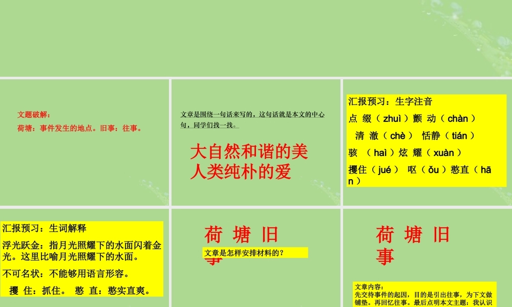 秋六年级语文上册 第五单元 往事 23 荷塘旧事教学课件 北师大版-北师大版小学六年级上册语文课件