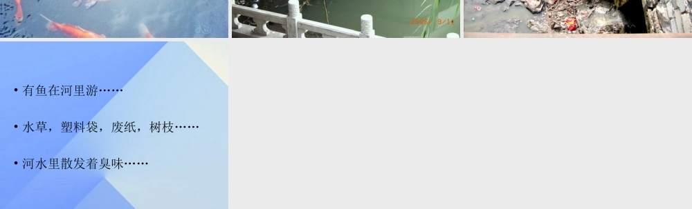 秋四年级科学上册 3.1《鱼儿的家》课件3 大象版-大象版小学四年级上册自然科学课件