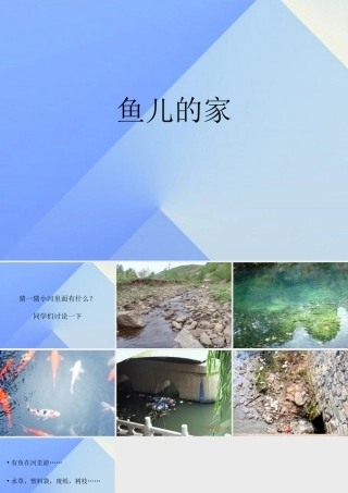 秋四年级科学上册 3.1《鱼儿的家》课件3 大象版-大象版小学四年级上册自然科学课件