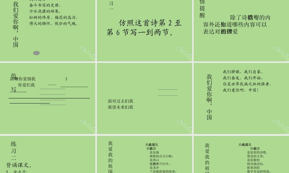 秋六年级语文上册 第一单元 1 我们爱你啊，中国教学课件 苏教版-苏教版小学六年级上册语文课件