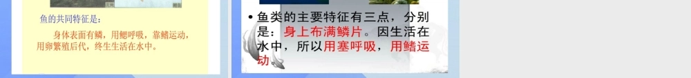 秋四年级科学上册 3.2《鱼儿生活的好吗》课件1 大象版-大象版小学四年级上册自然科学课件