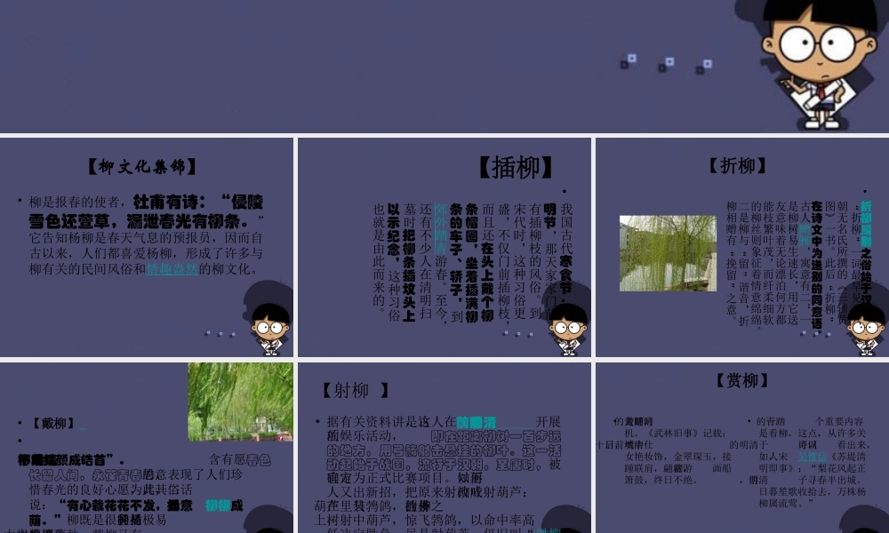 秋六年级语文上册《“柳文化”集锦》课件 冀教版-冀教版小学六年级上册语文课件