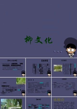 秋六年级语文上册《“柳文化”集锦》课件 冀教版-冀教版小学六年级上册语文课件