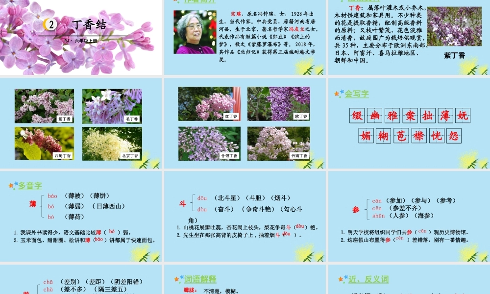 秋六年级语文上册 第一单元 2 丁香结教学课件 新人教版-新人教版小学六年级上册语文课件