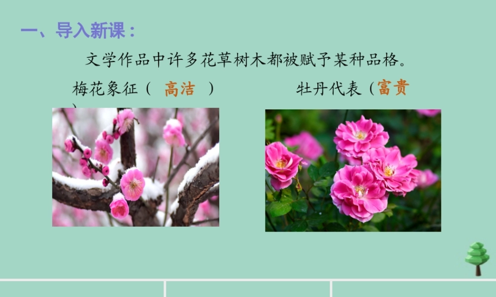 秋六年级语文上册 第一单元 2 丁香结上课课件 新人教版-新人教版小学六年级上册语文课件