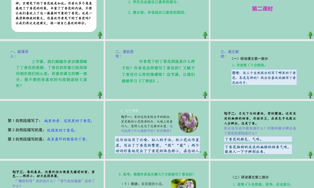 秋六年级语文上册 第一单元 2 丁香结上课课件 新人教版-新人教版小学六年级上册语文课件