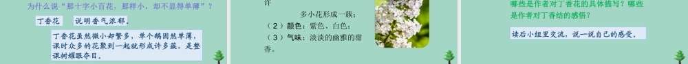 秋六年级语文上册 第一单元 2 丁香结上课课件 新人教版-新人教版小学六年级上册语文课件